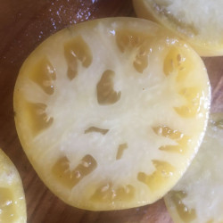 Tomate Beauté Blanche